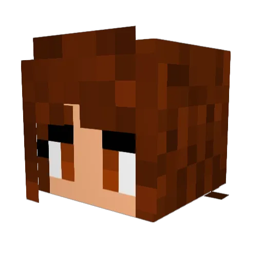 ZoePandaBear Minecraft avatar head, 3D render