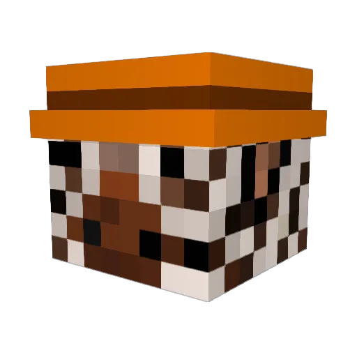 Zoe__Zebra Minecraft avatar head, 3D render