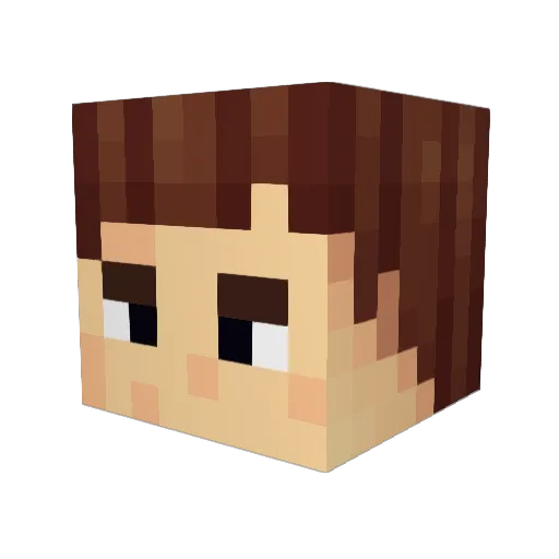 Zoeannie Minecraft avatar head, 3D render