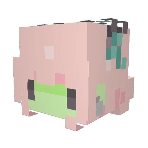 Zoecats Minecraft avatar head, 3D render