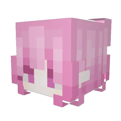 Zoechy Minecraft avatar head, 3D render