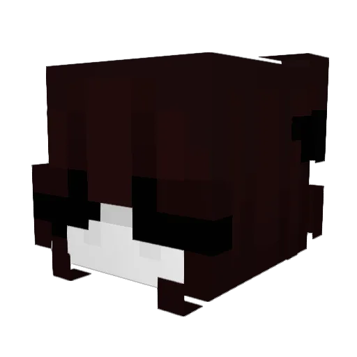 Zoehory Minecraft avatar head, 3D render