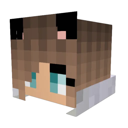 Zoei_sk Minecraft avatar head, 3D render