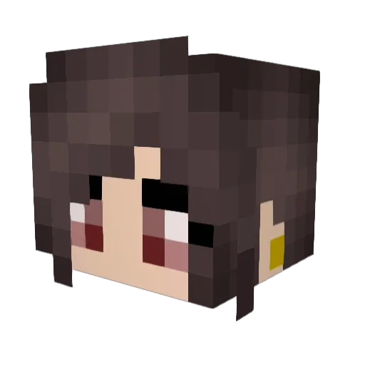 ZoekTV Minecraft avatar head, 3D render