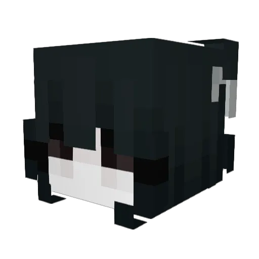 Zoeka Minecraft avatar head, 3D render