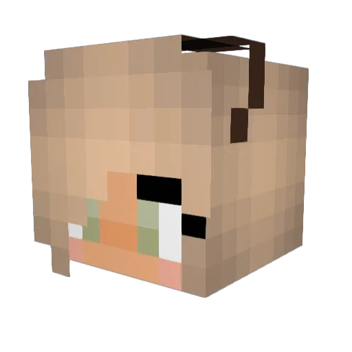 Zoeloe1 Minecraft avatar head, 3D render