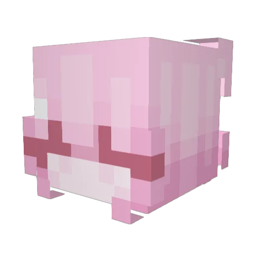 Zoenen Minecraft avatar head, 3D render