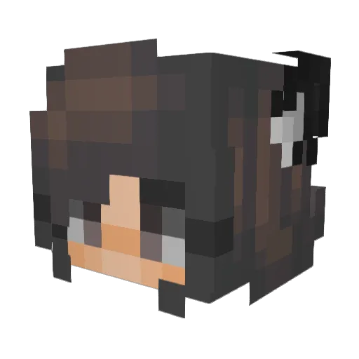 Zoeranna Minecraft avatar head, 3D render