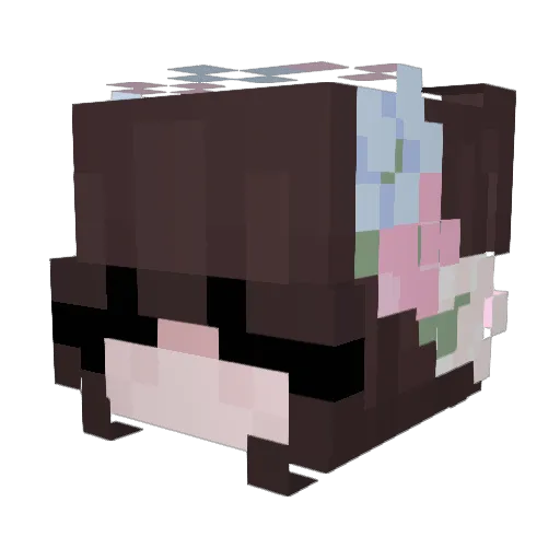 Zoey1984 Minecraft avatar head, 3D render
