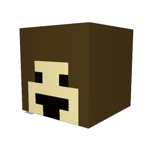 Zoey7775 Minecraft avatar head, 3D render