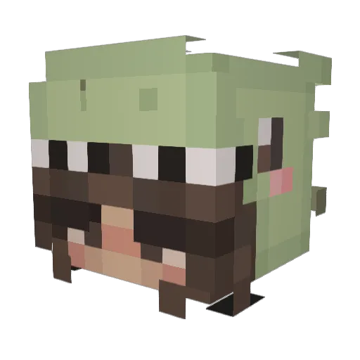 ZoeyArcher Minecraft avatar head, 3D render