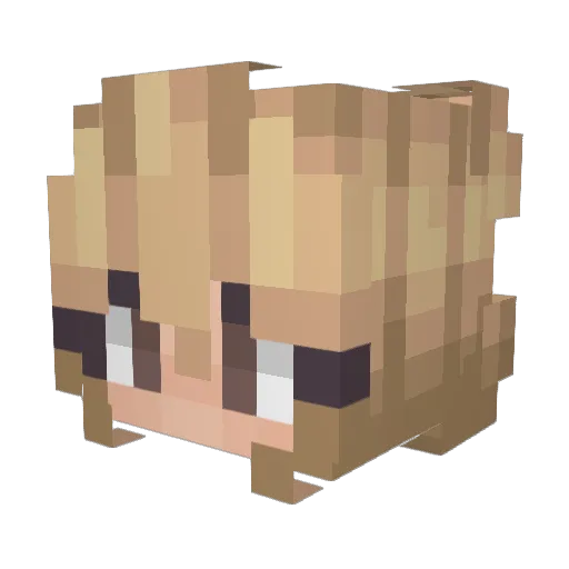 ZoeyWRLD Minecraft avatar head, 3D render