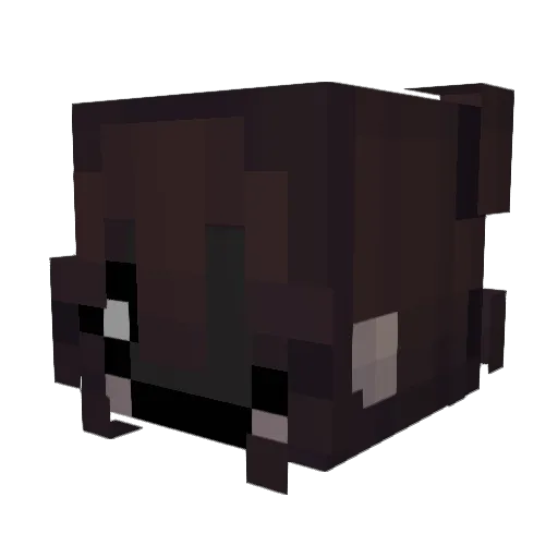 Zoey_2011 Minecraft avatar head, 3D render