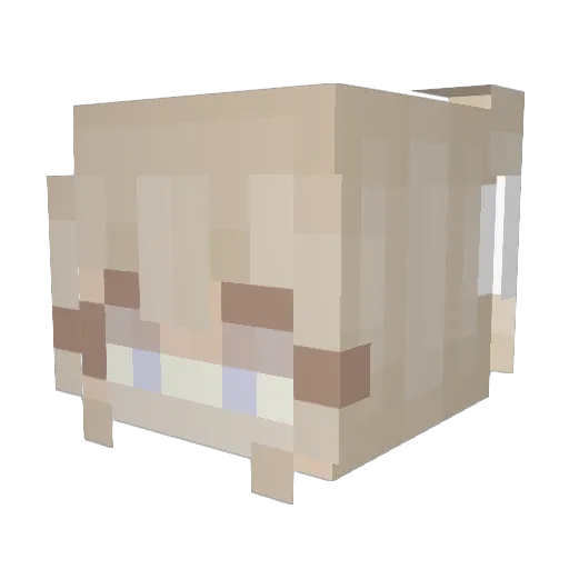 Zoeydock123 Minecraft avatar head, 3D render