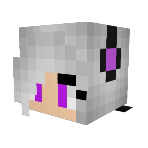 Zoeygor Minecraft avatar head, 3D render