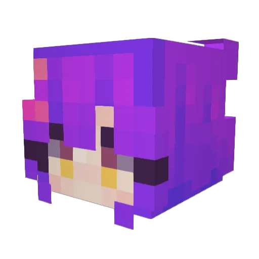 Zoeyzinha Minecraft avatar head, 3D render