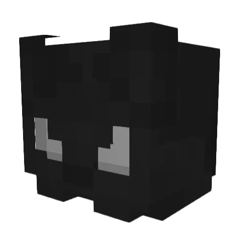ZoferMC Minecraft avatar head, 3D render
