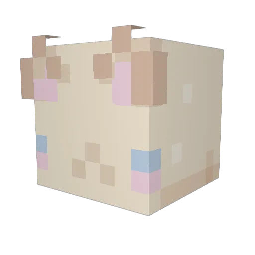 Zofungus Minecraft avatar head, 3D render