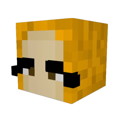 Zoggle1 Minecraft avatar head, 3D render
