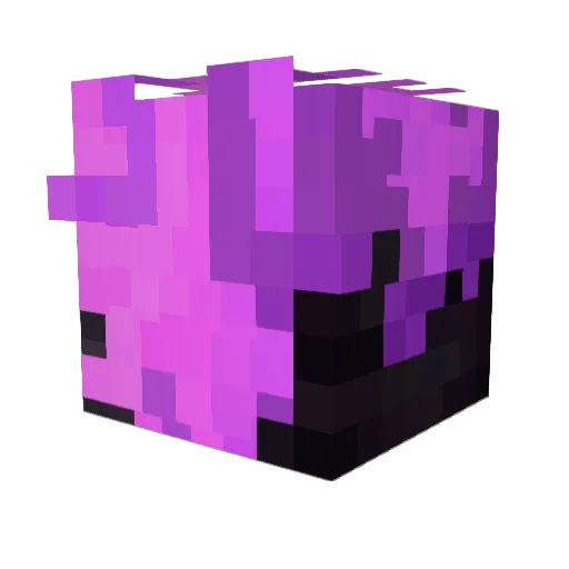 Zognord Minecraft avatar head, 3D render