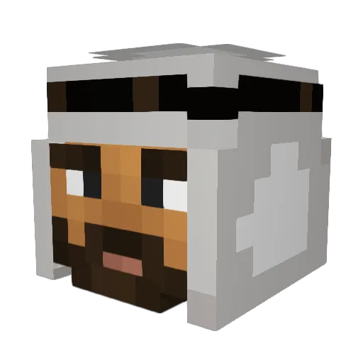 Zogoer Minecraft avatar head, 3D render