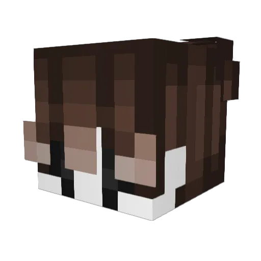 ZoharIDF Minecraft avatar head, 3D render