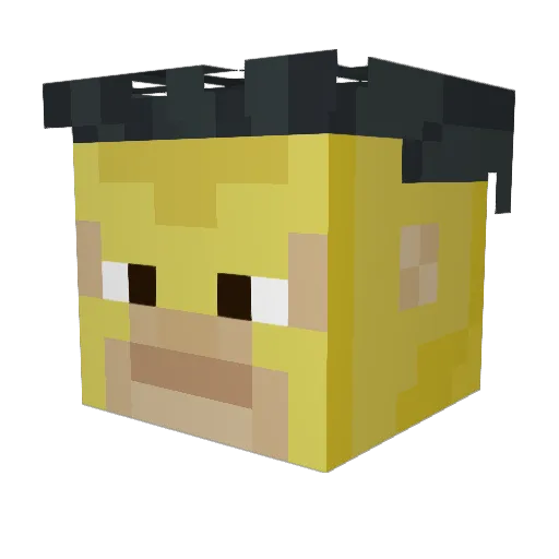 Minecraft-Avatar von Zohar_IlI: Kopf als 3D-Render