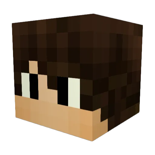 Zoidi Minecraft avatar head, 3D render