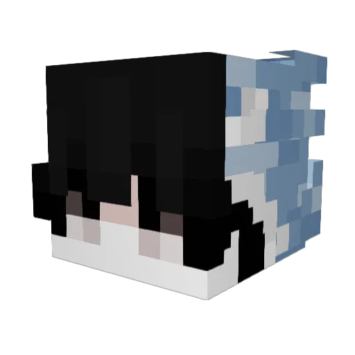 Zoidxap Minecraft avatar head, 3D render