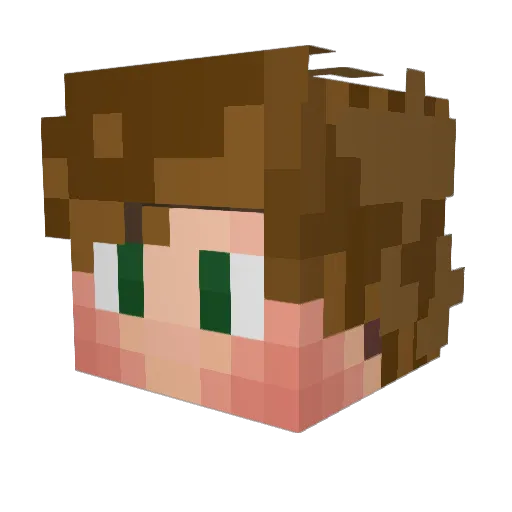 Zoinker9845 Minecraft avatar head, 3D render