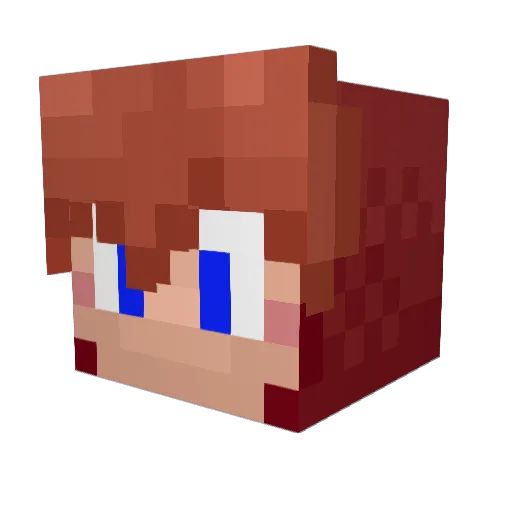 ZoinkerPanda Minecraft avatar head, 3D render