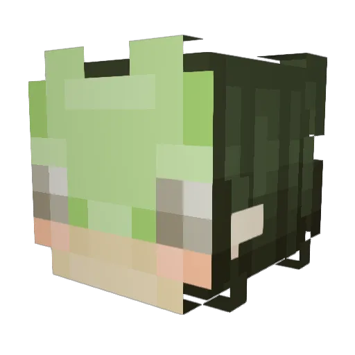 Zoinks2000 Minecraft avatar head, 3D render