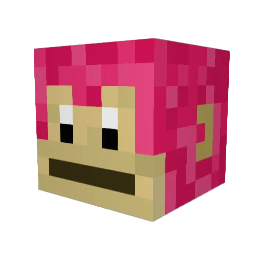 Zoinks_1 Minecraft avatar head, 3D render