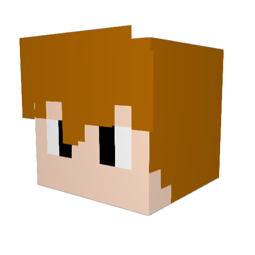 Zoinkys_ Minecraft avatar head, 3D render