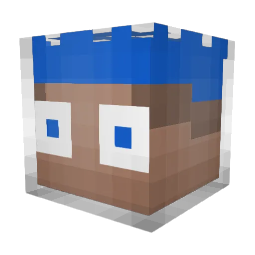 ZoioHG Minecraft avatar head, 3D render