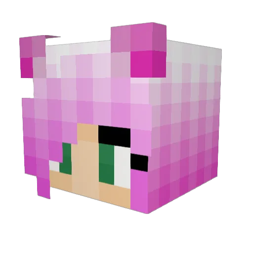 Zoiocomendonilce Minecraft avatar head, 3D render