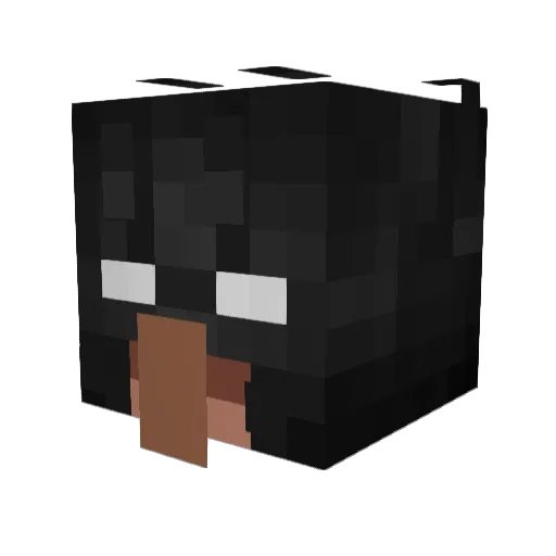 Zoistre Minecraft avatar head, 3D render