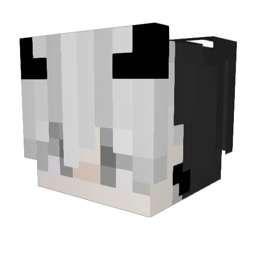 Zojia Minecraft avatar head, 3D render