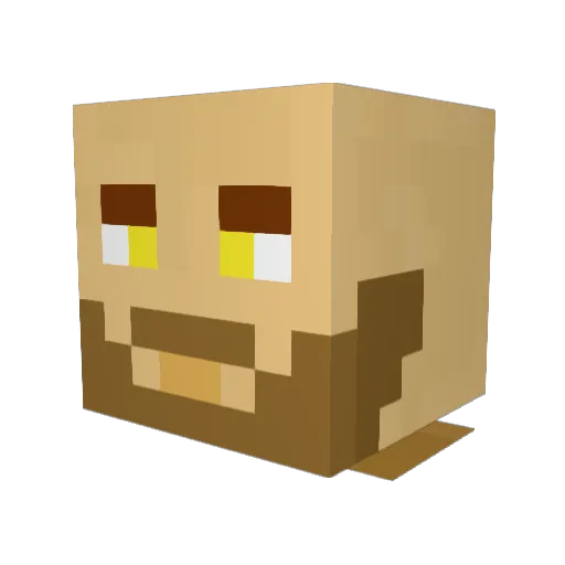 Zokkai Minecraft avatar head, 3D render