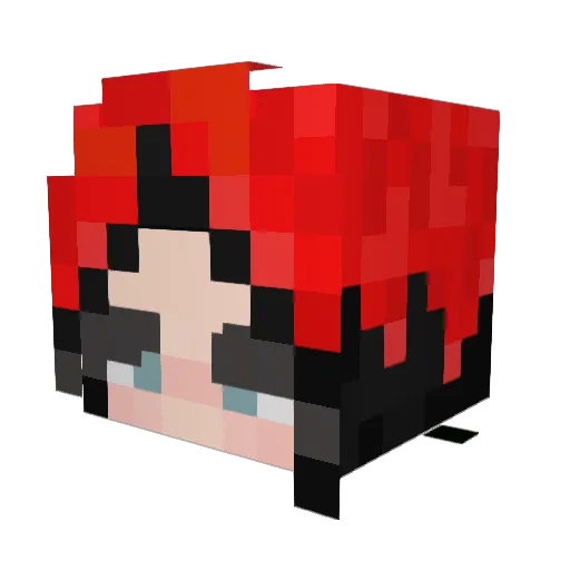 Zokni1 Minecraft avatar head, 3D render
