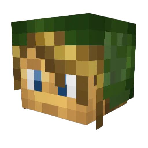 Zolary Minecraft avatar head, 3D render