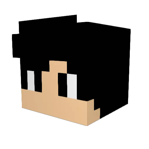Zole05 Minecraft avatar head, 3D render