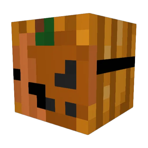 Zole_ Minecraft avatar head, 3D render