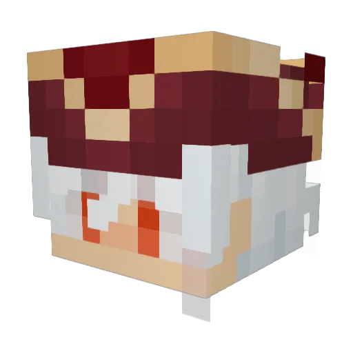 Zoleeey Minecraft avatar head, 3D render