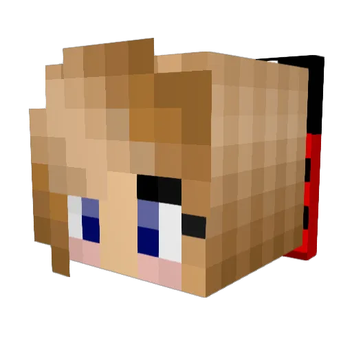 Zollibug Minecraft avatar head, 3D render