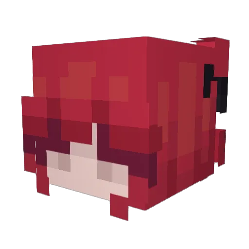 Zoltor623 Minecraft avatar head, 3D render