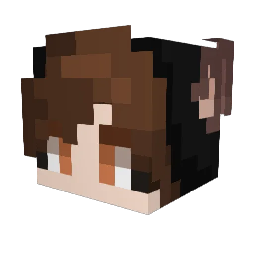 Zoltron333 Minecraft avatar head, 3D render