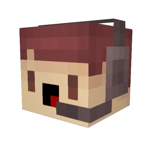 ZombiWolf22 Minecraft avatar head, 3D render