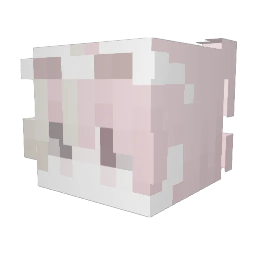 Zombie306 Minecraft avatar head, 3D render