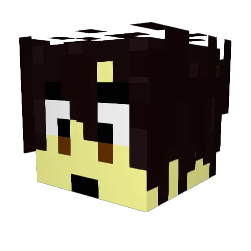 ZombieAnatomist Minecraft avatar head, 3D render